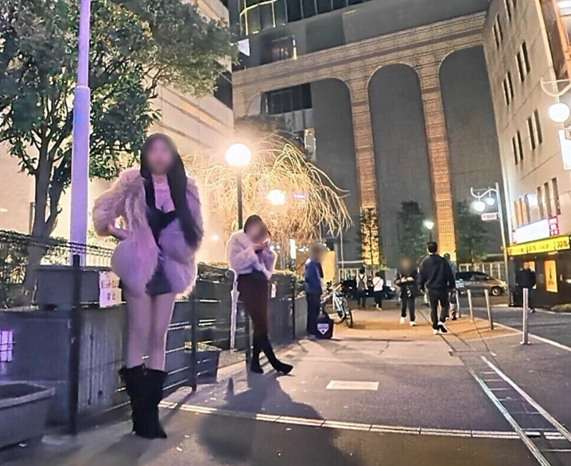新大久保公园